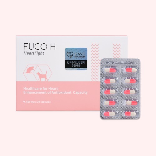 FUCO H 600mg [30 capsule]